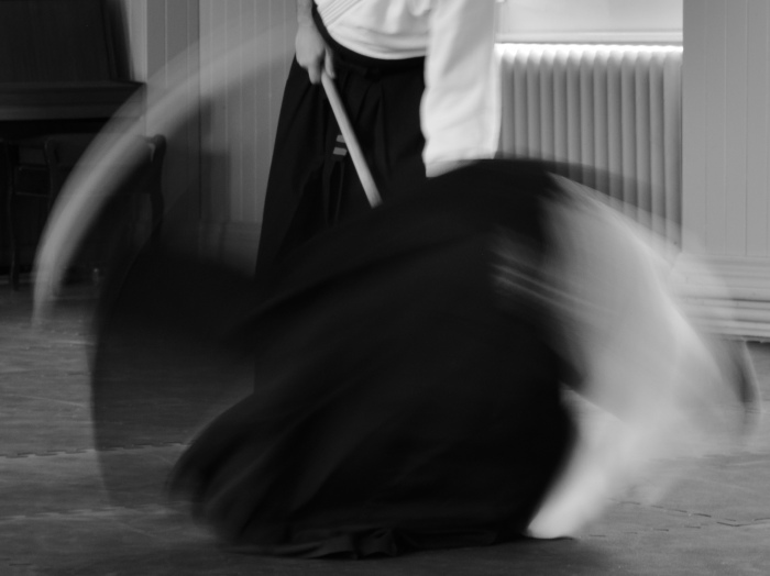 Aikido roll